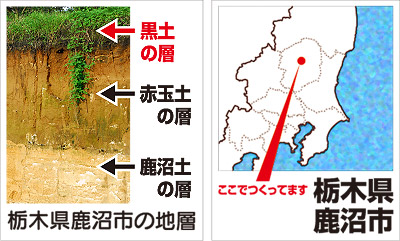 土の層と地図